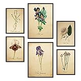 Nacnic Set de 6 Posters de Flores Vintage. Colección de láminas con estética Collage para la decoración de Interiores. Tamaños A3 y A4. Sin Marco.