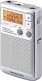 Sangean DT-250 - Radio, plateado