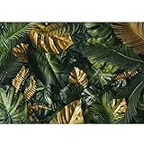 Runa Art Fotomurales hojas tropicales monstera 352 x 250 cm Fondo De Pantalla XXL Moderna Decoración De Pared Sala Cuarto Oficina Salón oro verde 9591011a