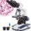 Microscopios Review y Mejor Oferta