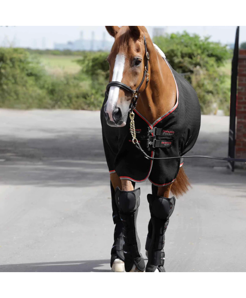 Protectores de Transportes para caballos Airtechnology Knee Pro-Tech